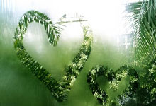 中东部降雨范围广泛 江南华南多地暖热同期少见.